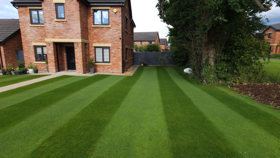 GreenCare TE Turfcare Package - 1Kg (100m2 Pack) - NEW! LIMITED STOCK - Image 3